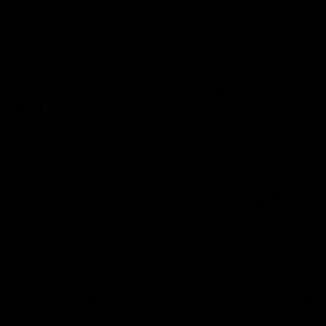 Meet your Posher, Nedeen